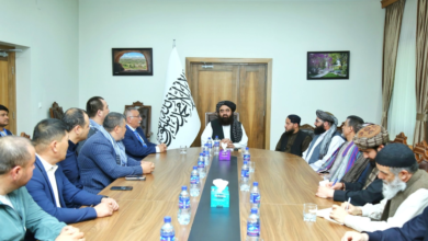 تصویر مولوی امیرخان متقی: به دنبال گسترش روابط جهانی از طریق «دیپلماسی ورزشی» هستیم