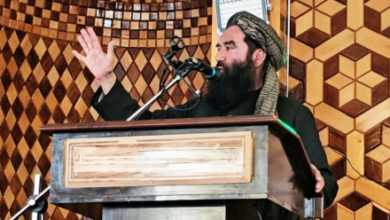 Photo of Borders Minister: People Will Defend the System if Called Upon