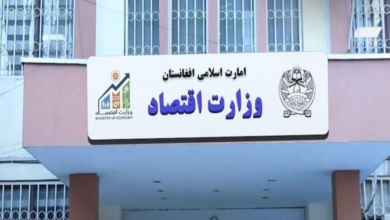 تصویر حنیف: بیش از ۲۷ هزار خانواده افغان به دلیل حملات پاکستان بیجا شده است 