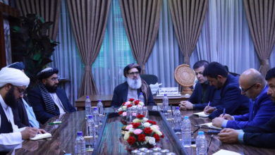 Photo of Afghanistan and Uzbekistan seek stronger ties in health sector