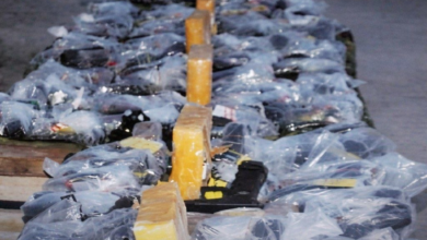 تصویر کشف و ضبط ۹۵ قبضه تفنگچه قاچاق شده از پاکستان در خوست