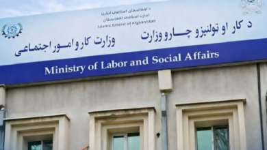 Photo of Around 15,000 cases of vulnerable Afghan children addressed over past year