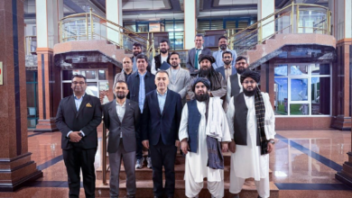 تصویر دیدار رییس برشنا با وزیر انرژی تاجیکستان در دوشنبه؛ تأکید بر تسریع پروژه کاسا-۱۰۰۰