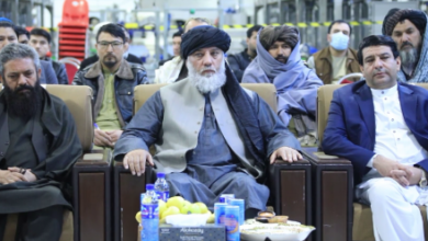 Photo of Islamic Emirate pushes industrial self-sufficiency with incentives