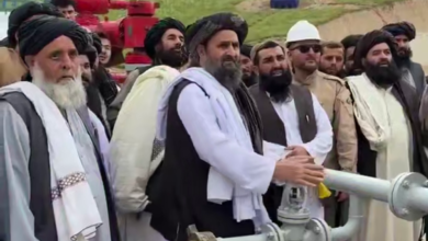 تصویر آغاز استخراج نفت از ۵ چاه جدید در حوزه آمو دریا؛ افزایش ظرفیت تولید روزانه