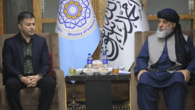 تصویر دیدار وزیر صنعت و تجارت با رییس سازمان توسعه صنایع ادویه‌جات ازبکستان