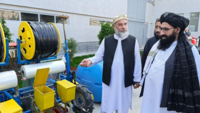 تصویر بازدید وزیر صنعت و تجارت افغانستان از فابریکه‌های نساجی بخارای ازبکستان