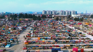 Photo of IEA issues new decree to regulate street vendors, boost urban order
