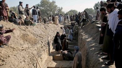 Photo of IEA accuses Pakistan of war crimes amid heavy civilian losses