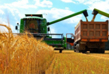 Photo of Kazakhstan grain exports to Afghanistan jump sharply