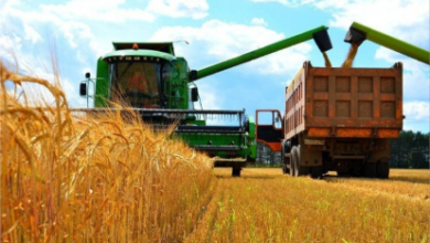 Photo of Kazakhstan grain exports to Afghanistan jump sharply