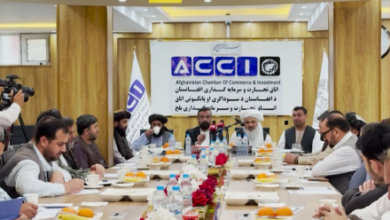 Photo of Officials, Business Leaders Meet in Balkh to Support Returnees
