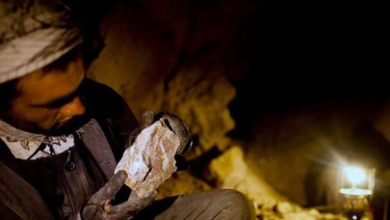Photo of Illegal mining and gold panning suspended in Shighnan district of Badakhshan