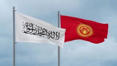 تصویر دیدار وزیر تحصیلات عالی با معاون نخست‌وزیر قرغزستان