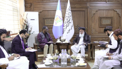 Photo of Major pharma firms eye investment in Afghanistan
