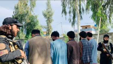 تصویر بازداشت ۲۱ تن در پیوند به جرایم جنایی در ۷ ولایت