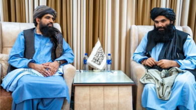 Photo of Interior and Labor Ministers discuss creation of job opportunities