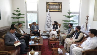 تصویر دیدار جنرال قونسل افغانستان در مشهد با اتحادیه صادرکنندگان خدمات تخنیکی و انجنیری خراسان رضوی