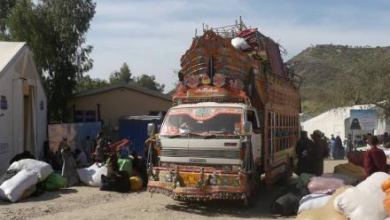 Photo of Labor Ministry: Jobs Provided for Up to 20,000 Returnees in Two Years