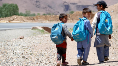 Photo of UNICEF report highlights progress and ongoing challenges for Afghan children