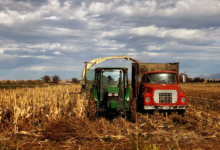 Photo of China to buy at least $17 billion in US agricultural products annually, White House says
