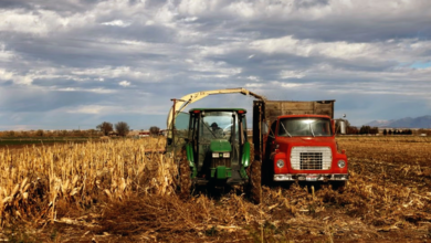 Photo of China to buy at least $17 billion in US agricultural products annually, White House says