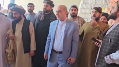 Photo of Iran Eyes Investment in Helmand’s Cotton and Mineral Sectors