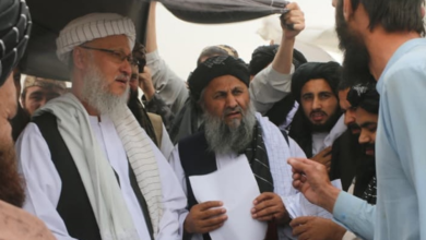 Photo of New township to provide over 1,000 land plots for returnees in Logar