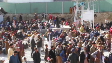 Photo of IOM: Over 6M Afghans Returned From Iran, Pakistan Since 2023