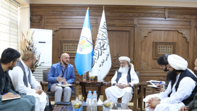 Photo of Economy Minister, NRC acting director discuss support for IDPs and returnees