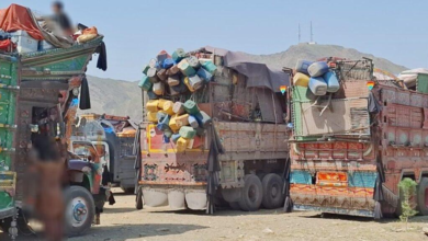 تصویر بازگشت ۵۹۲ خانواده مهاجر به کشور در یک روز