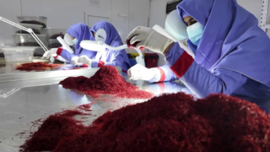 Photo of Afghan Saffron Exports to Global Markets Increase