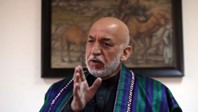 Photo of Karzai blames Pakistan’s policies for its security challenges, urges EU to consider regional realities
