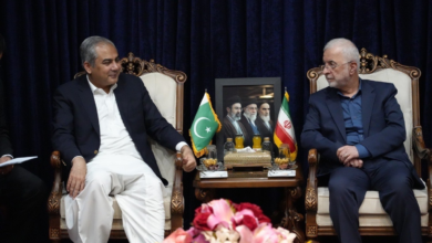تصویر وزیر داخله پاکستان پیام ویژه اسلامآباد را به تهران منتقل کرد