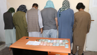 تصویر بازداشت شش عضو یک باند جعلکار در ولایت بلخ
