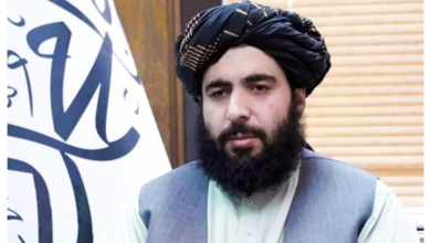 Photo of Islamic Emirate rejects Dutch organization’s report on children’s rights in Afghanistan
