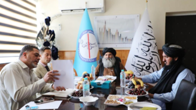 تصویر تأکید امارت اسلامی و سازمان ملل بر انعکاس منصفانه دستاوردهای مبارزه با مواد مخدر افغانستان