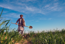 Photo of Afghanistan, UNDP discuss expanding cooperation in agriculture and rural development