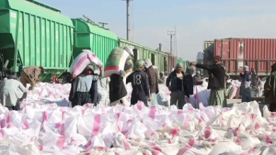 Photo of Afghanistan’s trade with Central Asia records sharp growth