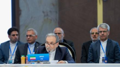 Photo of Araghchi at SCO: Afghanistan’s Stability ‘Strategic for Regional Security’