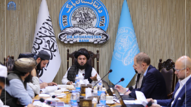 تصویر دیدار معاون اول د افغانستان بانک با مسوولان بنیاد تضمین تمویلات افغانستان