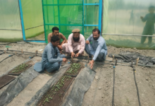 Photo of World Bank: Food system reforms could boost food security and jobs in Afghanistan