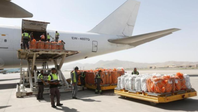 Photo of Afghanistan’s Domestic Exports Top $45M in First Three Months of 1405