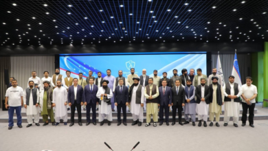 Photo of Afghanistan and Uzbekistan emphasize expanding health and pharmaceutical cooperation