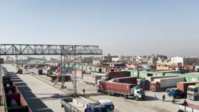 Photo of Balkh Exports to Regional Markets Surge in First Quarter