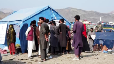Photo of 1.6 Million Afghans Have Returned from Pakistan Since the Start of 1404