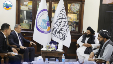 تصویر دیدار وزیر معادن و پترولیم با سفیر ترکمنستان؛ ۱۰۲ کیلومتر لولهگذاری پروژه تاپی در افغانستان تکمیل شد