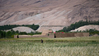 Photo of Five armed men killed while attempting to cross Durand Line into Badakhshan