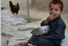 Photo of UNOCHA warns of deepening humanitarian crisis in Afghanistan as funding gap widens