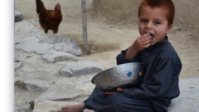 Photo of UNOCHA warns of deepening humanitarian crisis in Afghanistan as funding gap widens